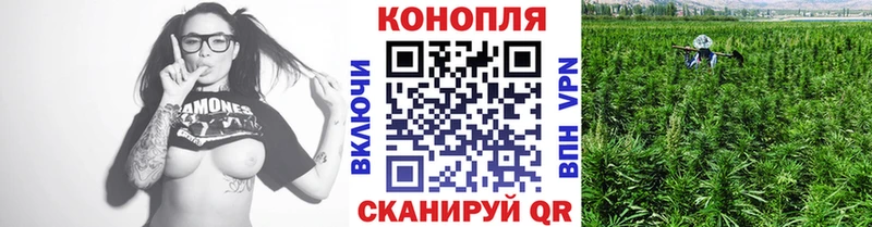 Где купить Краснодар Alpha PVP  МЕФ  Гашиш  Марихуана  Псилоцибиновые грибы  Cocaine 
