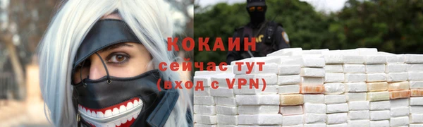 бошки Семилуки