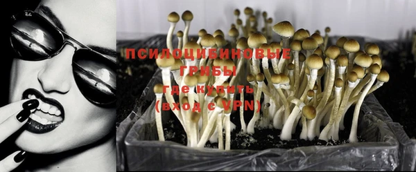 бошки Семилуки