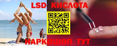 гидра Кингисепп