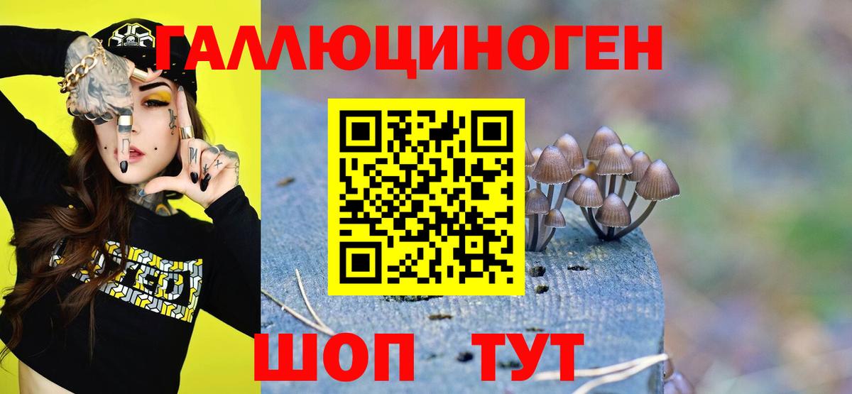 Краснодар  Псилоцибиновые грибы прущие грибы  Вход с VPN  Галлюциногенные грибы Psilocybe 